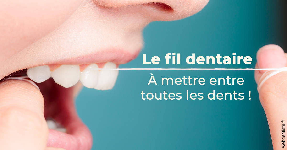 https://dr-benjamin-simonnet.chirurgiens-dentistes.fr/Le fil dentaire 2