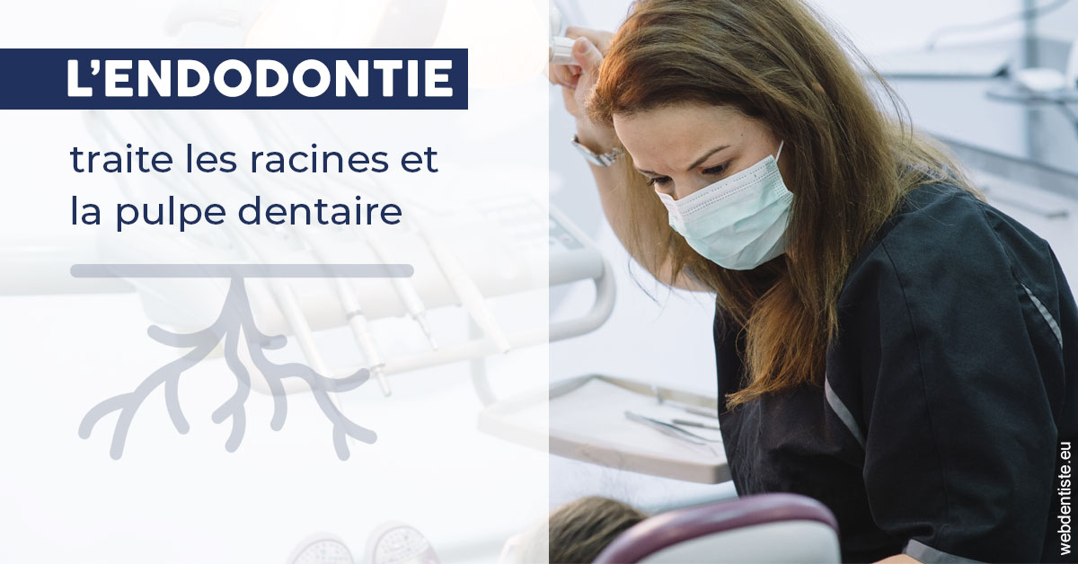 https://dr-benjamin-simonnet.chirurgiens-dentistes.fr/L'endodontie 1