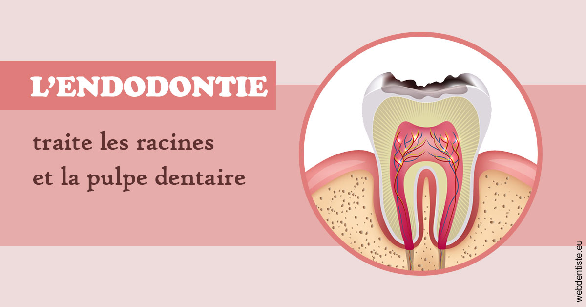 https://dr-benjamin-simonnet.chirurgiens-dentistes.fr/L'endodontie 2