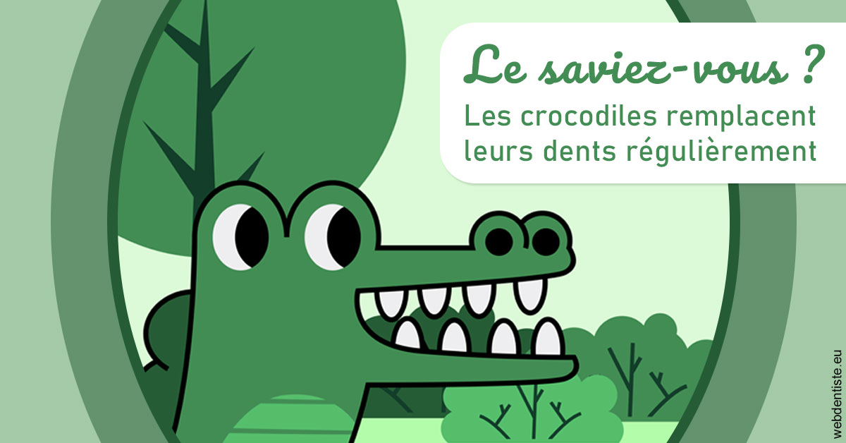 https://dr-benjamin-simonnet.chirurgiens-dentistes.fr/Crocodiles 2