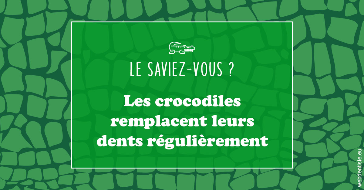 https://dr-benjamin-simonnet.chirurgiens-dentistes.fr/Crocodiles 1